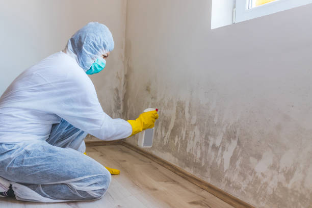 Licensed Mold Remediation service in Atlantic Highlands, NJ - 24 Hour Mold Removal