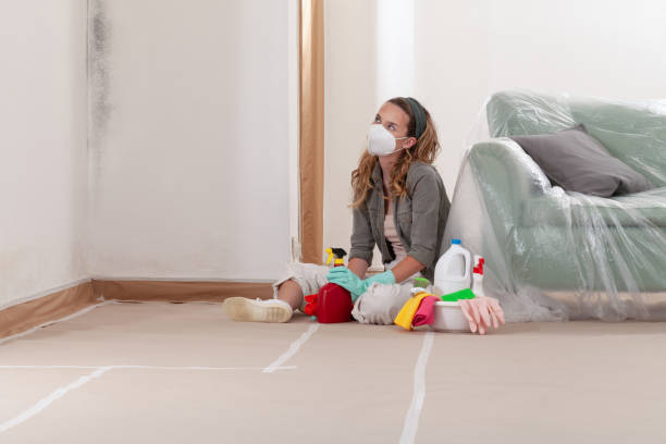 Reliable Mold Remediation contractor in Atlantic Highlands, NJ by 24 Hour Mold Removal
